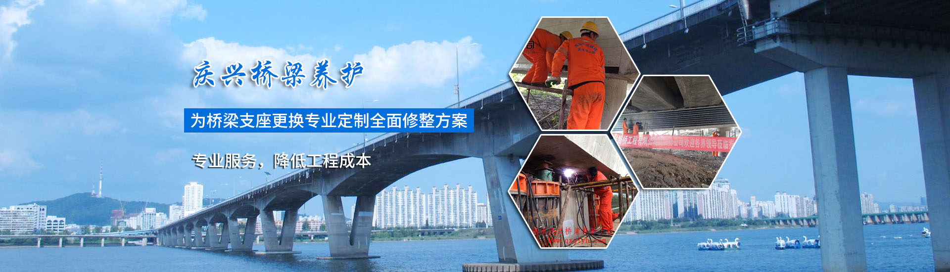 成都苗木批發(fā)